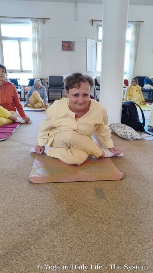 3.1. strilky asanas wm