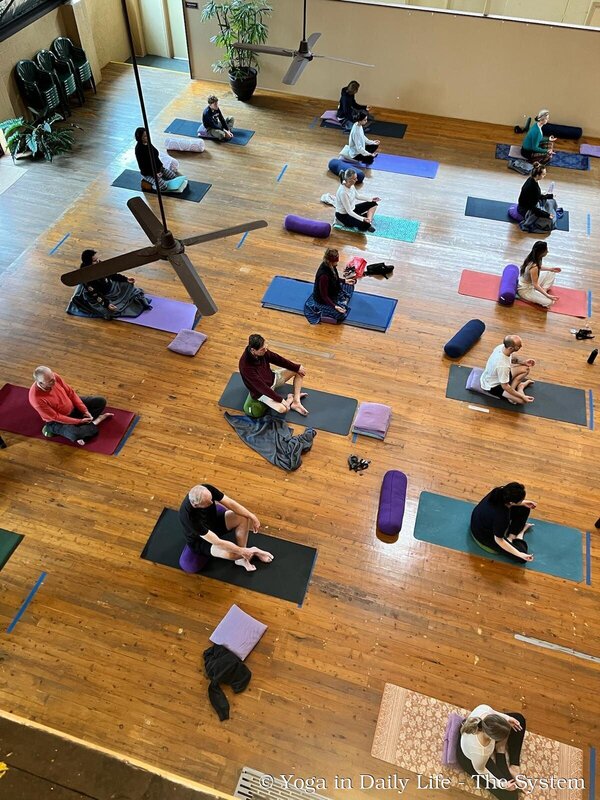 1.3. 2026 idy brisbain wm